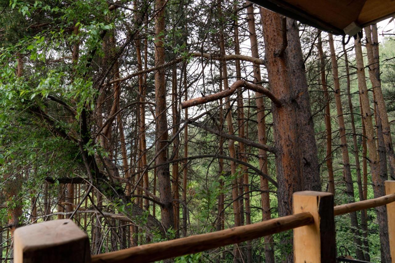 Qazaq Auyl Eco Hotel 알마티 외부 사진