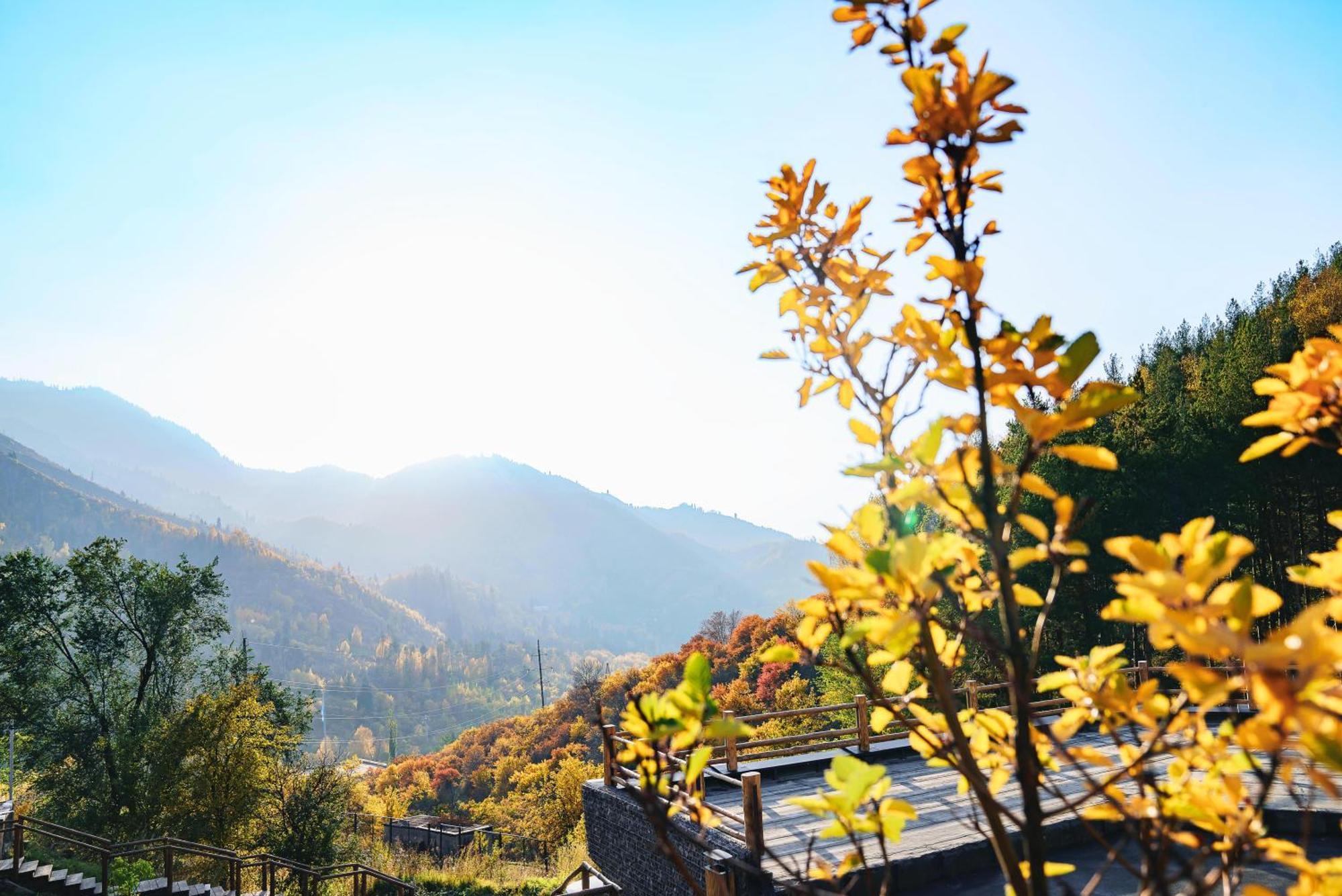 Qazaq Auyl Eco Hotel 알마티 외부 사진
