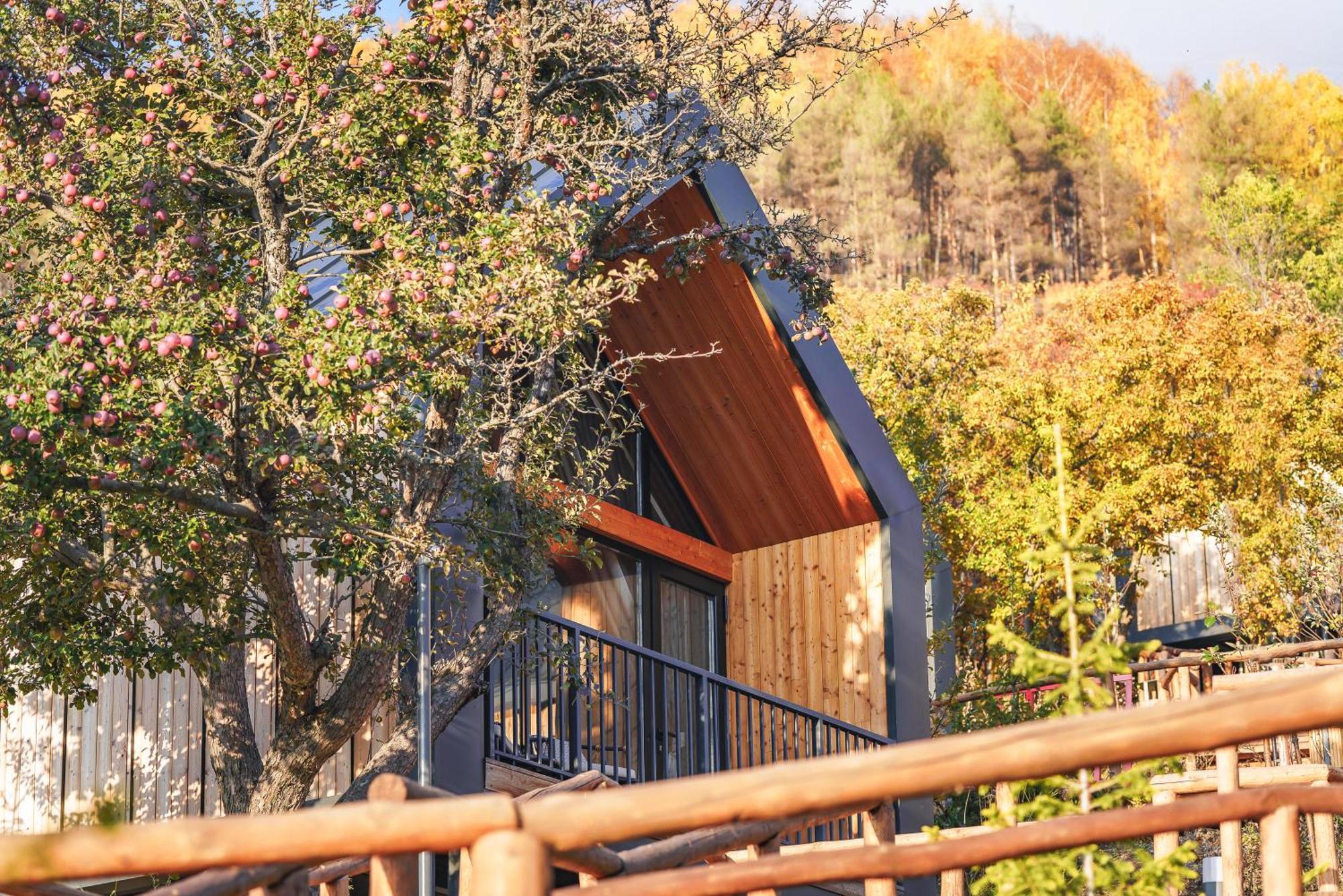 Qazaq Auyl Eco Hotel 알마티 외부 사진