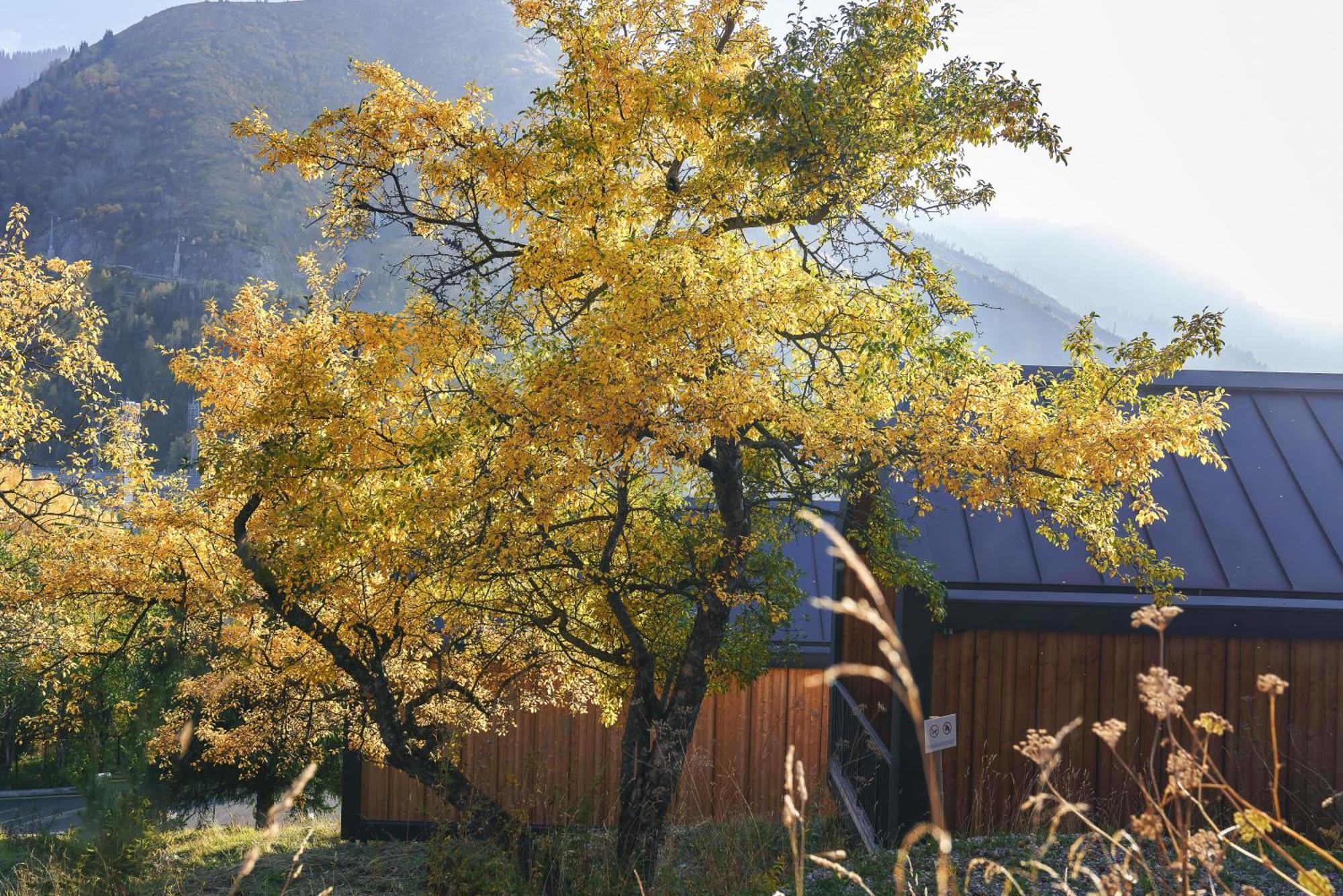 Qazaq Auyl Eco Hotel 알마티 외부 사진